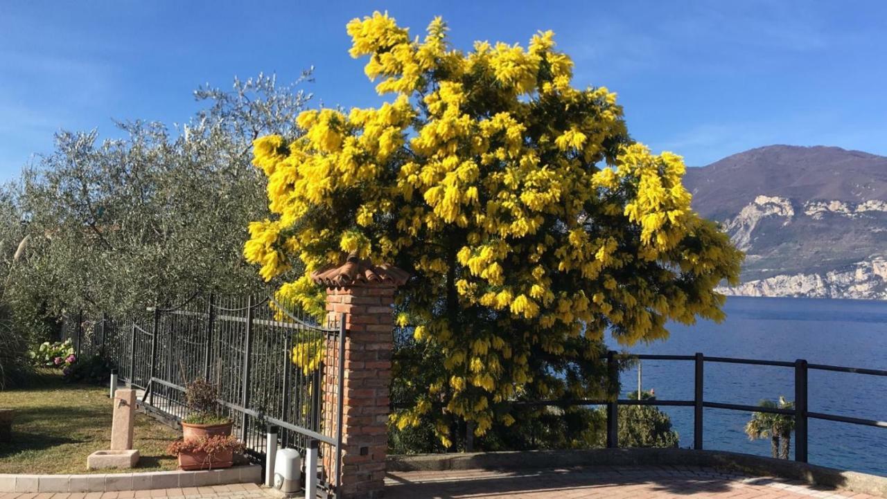 La Virgola Apartments Brenzone sul Garda Exteriör bild
